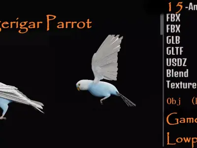 Budgerigar Parakeet Parrot Low-poly 3D model