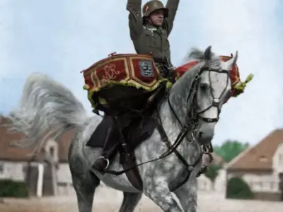 Mounted Military Drummer on Dapple Grey Horse STL  3D print model