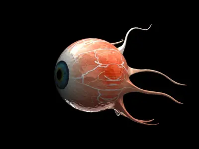 Eye 3D Model 3D model