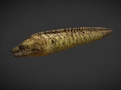 Lamprey eel Low-poly 3D model