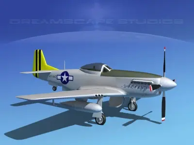 P-51D Mustang Shady Katy 3D model