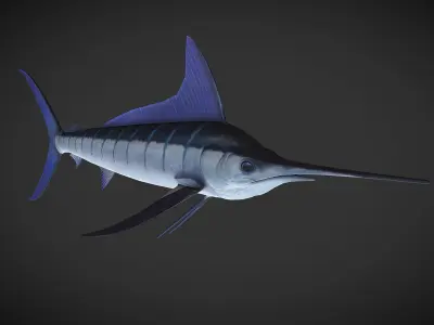 Swordfish marlin Low-poly 3D model