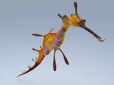 Sea Dragon Syngnathussp Low-poly 3D model