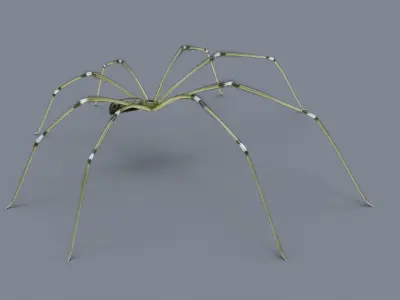 Daddy Long Legs Low-poly 3D model