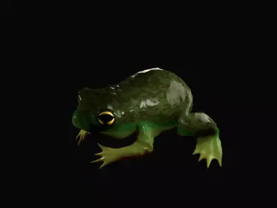 Rigged Croaking Frog Free 3D model
