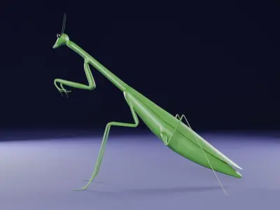 Mantis low poly 3D model for 3D print Low-poly 3D model