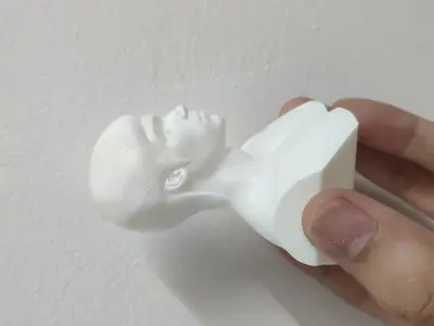 BRUCE LEE 3D Printable 3D print model