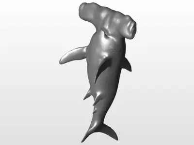 Hammerhead Shark Free 3D model