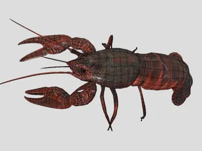 Crayfish Realistic Animated Low-poly 3D model