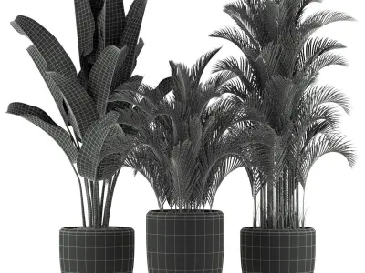 Plants collection 236 3D model