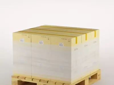 cardboard boxes on pallet 3D model
