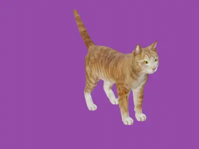 cat lowpoly 3d model 3D model