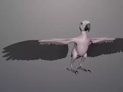 Base model of Macaw  3D model