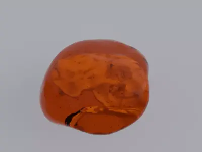Sea Otter Skull Trapped within Amber 3D model