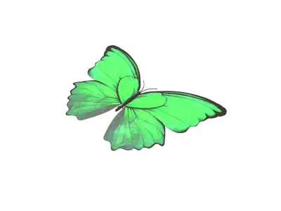 Butterfly v1 004 Low-poly 3D model