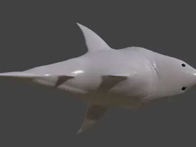 Stylised Shark Free 3D print model