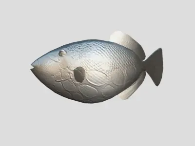 Clown Triggerfish Realistic Animated Low-poly 3D model