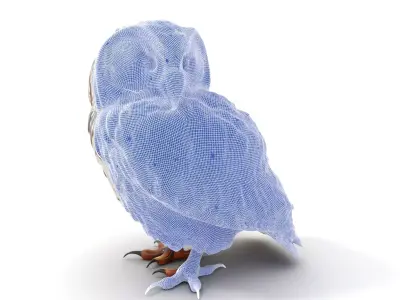 Spotted Owl Texture model pack Texture