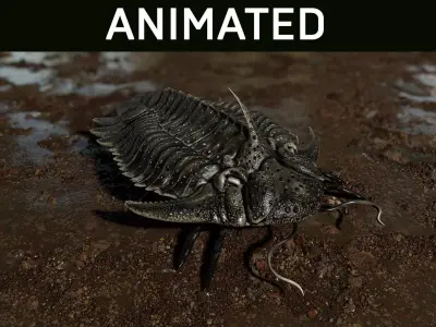 Trilobite 05 - Hoplolichas Furcifer Low-poly 3D model