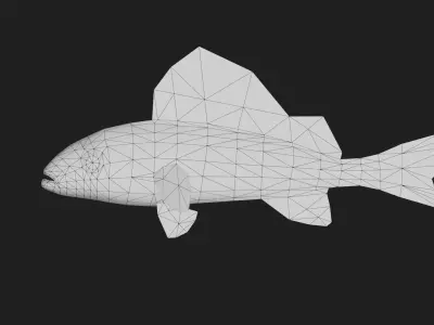 Ruffe Low-poly 3D model