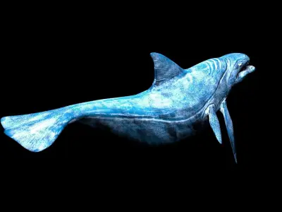 sea monster lowpoly rigged game ready  Low-poly 3D model