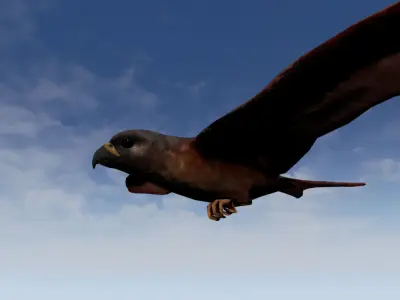 Folcan - Bird Low-poly 3D model