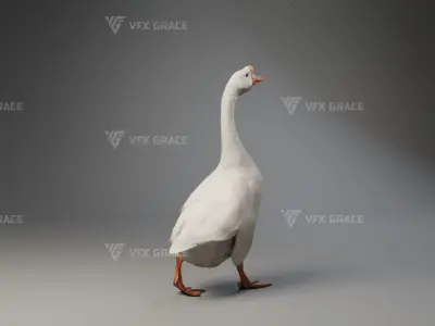 Big White Goose Male Animation - VFX Grace 3D model