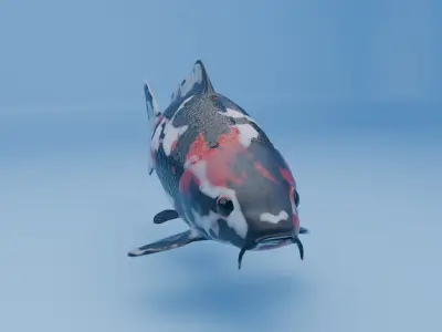 Carp Koi Fish Low-poly 3D model