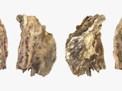 Tree Trunk Piece 13 3D model