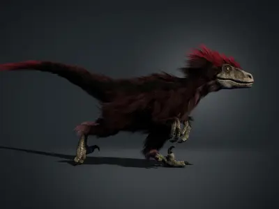 Raptor in Maya 3D model