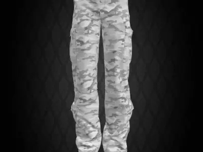  5 Pockets Camo Pants 3D model