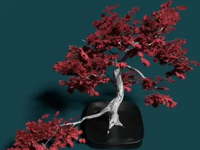 High Polly multi part Bonsai Maple 3D model 3D model
