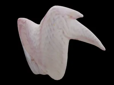 Wings of bird Low-poly 3D model