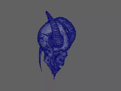 Skull Model 3D model