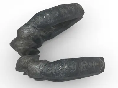 Dunkleosteus Teeth 3D model