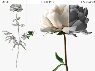 Delicate Floral Peony Branch with White Petals 3D model