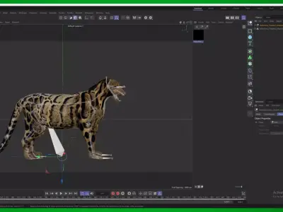 Indochina Clouded Leopard Free 3D model