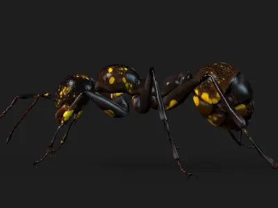 Ant-A1 3D model
