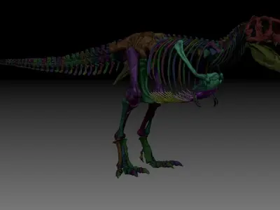 Dinosaur Tarbosaurus Bataar Full Set  3D model