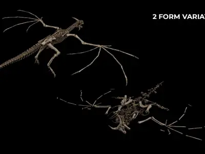 Dragon Wyvern Skeleton Low-poly 3D model