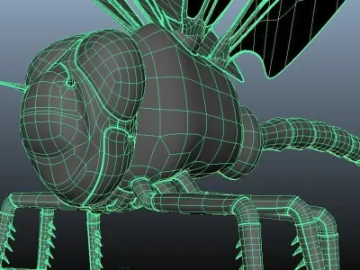 Dragonfly model - no rigging - no texture 3D model