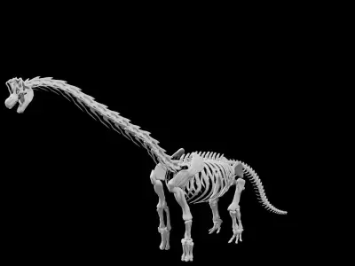 Brachiosaurus Skeleton Low-poly 3D model