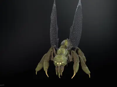 SpiderOsa Low-poly 3D model