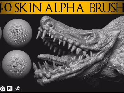 40 Skin Brush Brushes for Blender and Zbrush-Skin Brush-Alpha 3D model