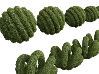 New Plant Ligustrum Quihoui Privet Pruned02 3D model