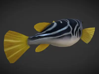 Puffer fish Low-poly 3D model
