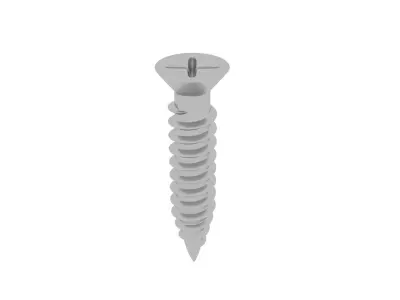 Screws 3D model