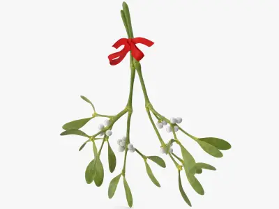 Mistletoe with Red Bow 2 3D model