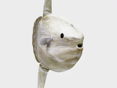 Ocean sun fish Low-poly 3D model