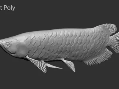 Dragon Fish Low-poly 3D model